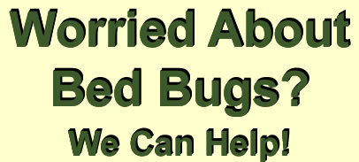   Key K9 Bed Bug Dog Detection